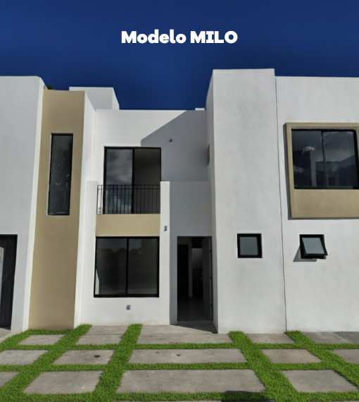 MODELO MILO EN ARONAH