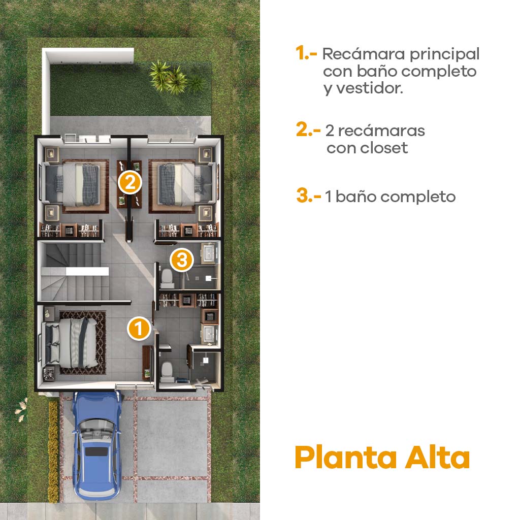 Planta Alta