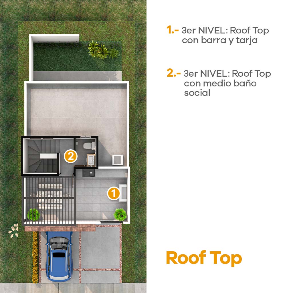 Roof Top