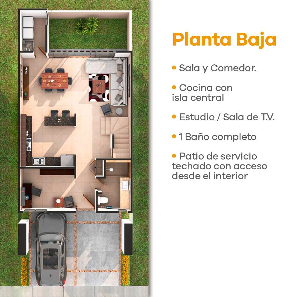 Planta Baja