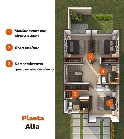 Planta Alta