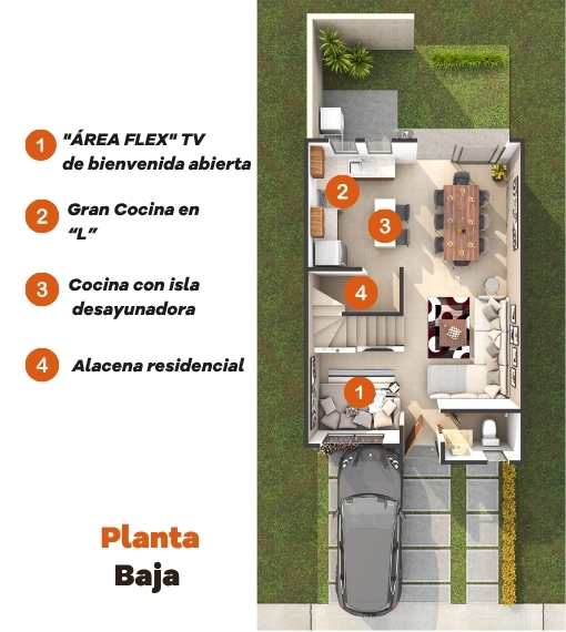 Planta Baja