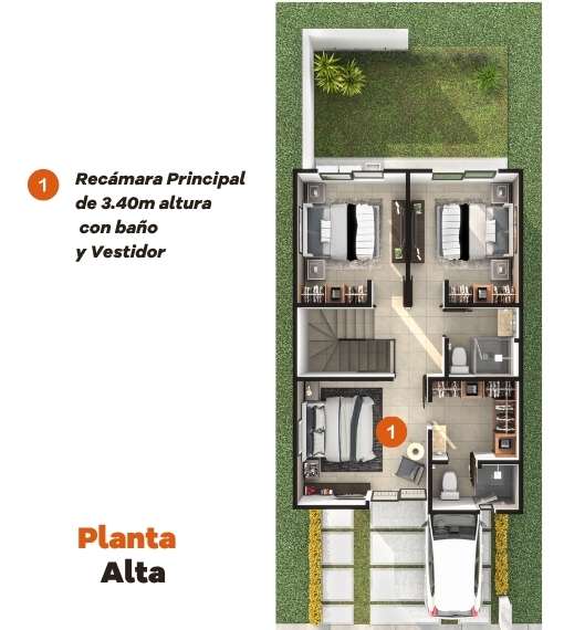 Planta Alta