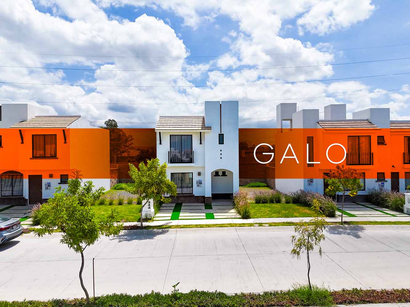 Galo 4R