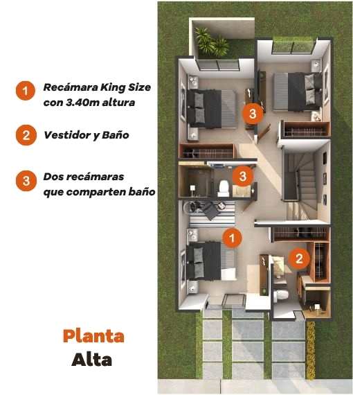 Planta Alta