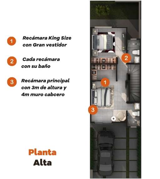 Planta Alta