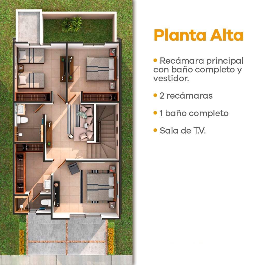 Planta Alta