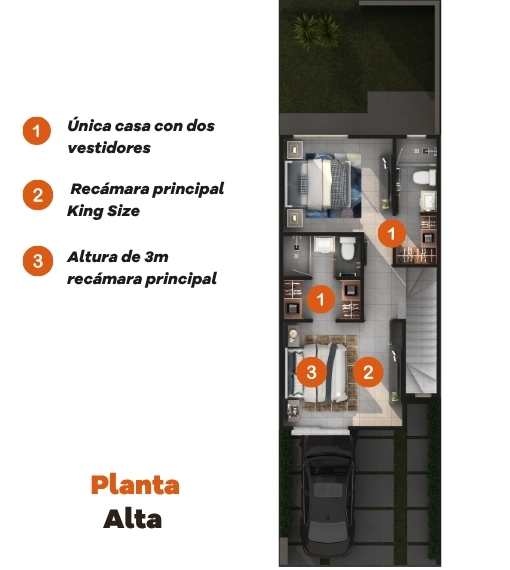 Planta Alta
