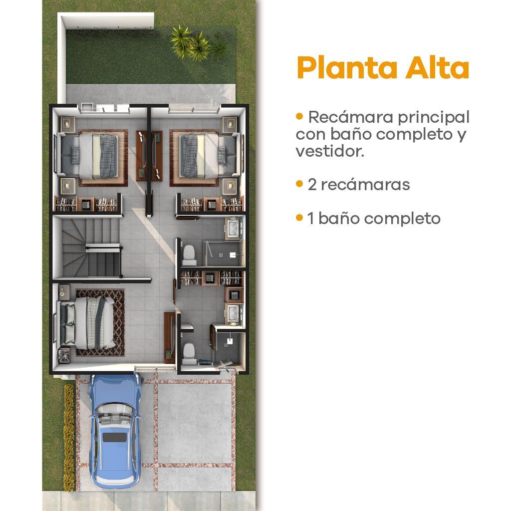 Planta Alta